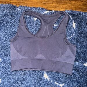 Seamless Blue Sports Bra